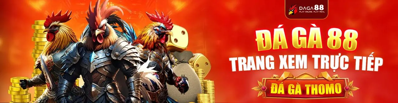 Đấu gà trực tuyến kịch tính tại KL991